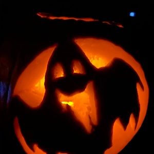 Meet your Posher, Vilma